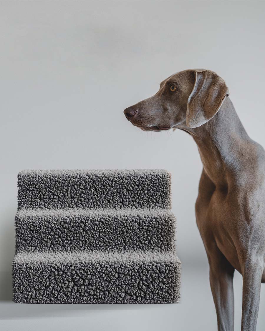 Three-story dog staircase (plastic material) - widened