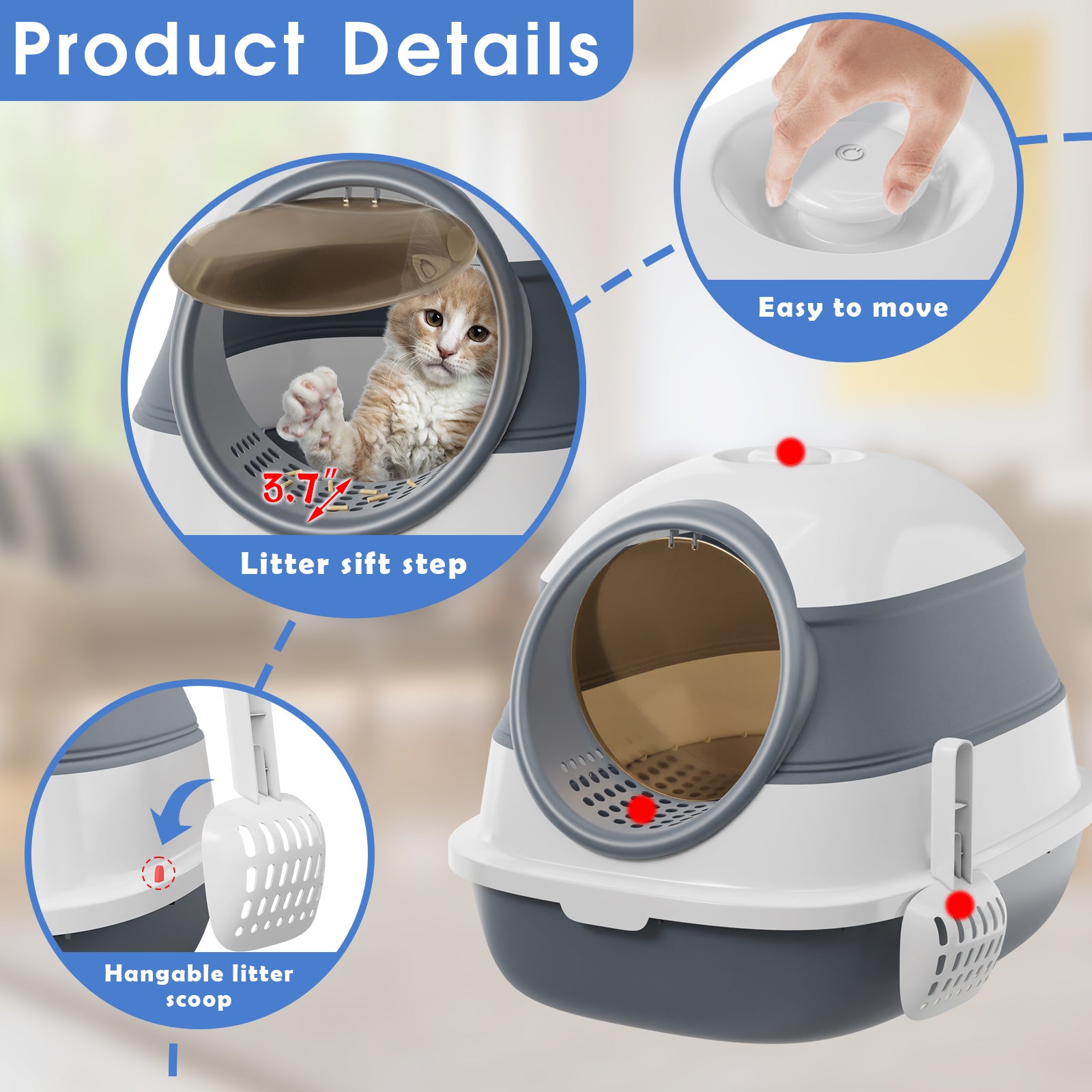  BNOSDM Collapsible Cat Litter Box for Kittens Small Shallow  Litter Boxes Open Standard Senior Cat Toilet Litter Tray Without Lid for  Travel : Pet Supplies