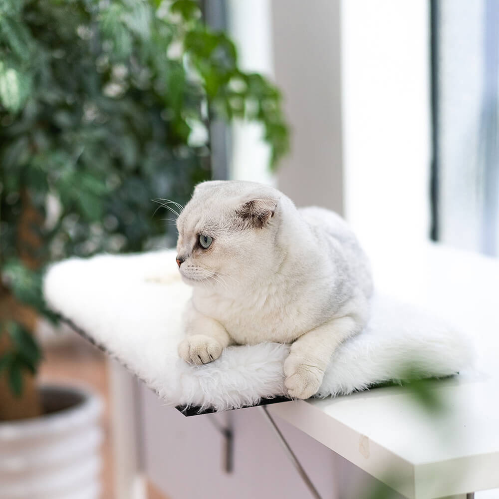 Topmart White Plush Cat Window Sill / Cat Seat Cushion
